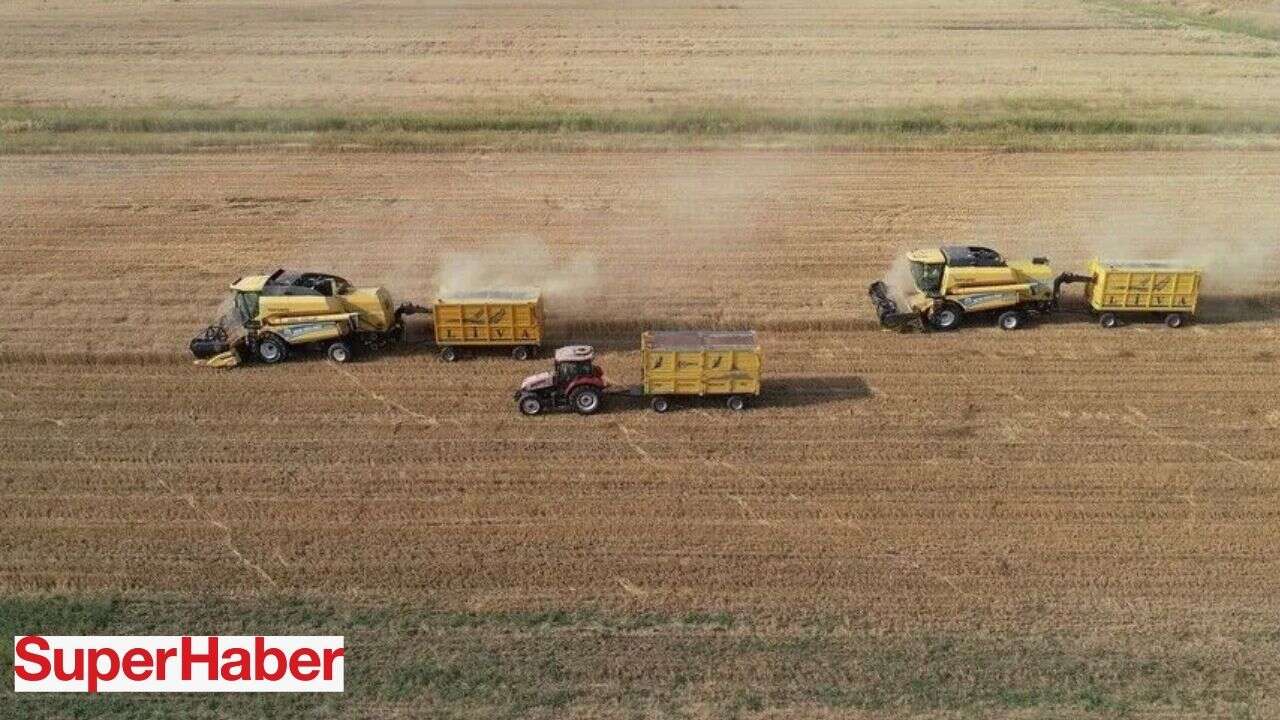 TMO, kasımda piyasaya 5,5 milyon ton hububat arz edecek