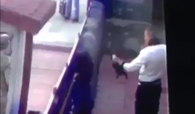 Kediye akılalmaz işkence yapan cani gözaltında!
