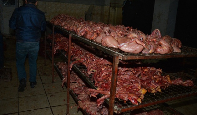 Rezalet! Bu tavukları lokantalara satıyorlardı
