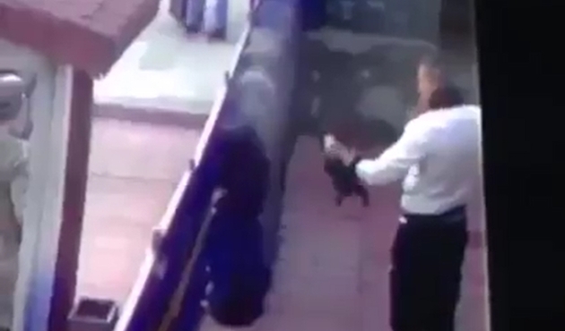Kediye işkence yapan cani hakkında karar...