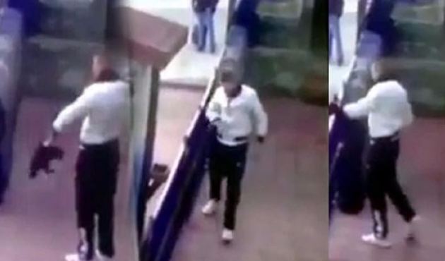 Hayvanları "mal" değil, "can" gören düzenleme!
