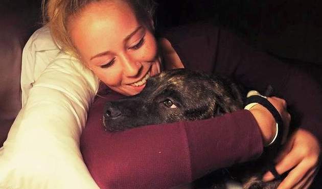 Pitbull cinsi iki köpek sahibini yedi!