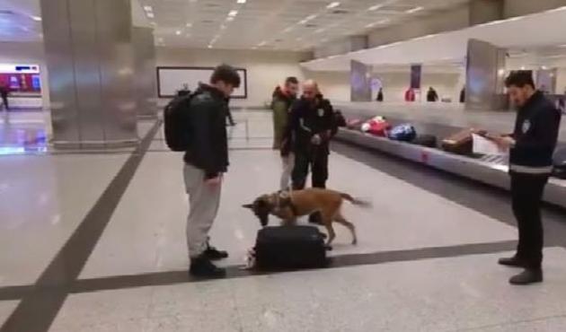 Hollanda'nın densizliğine anında misilleme!