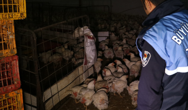 Tam 2 ton ele geçirildi! Yakalanmasa soframıza gelecekti
