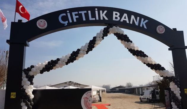 Çiftlikbank kripto para işine girdi...