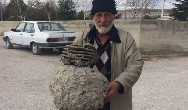 Evinin çatısında buldu, şoke oldu!