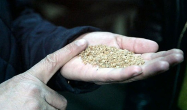 Kömüre alternatif; zeytin çekirdeği!