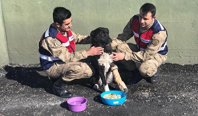 İşte Mehmetçik'in merhameti...