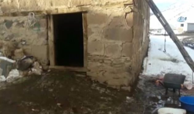 Ahırdan çığlık sesi duydu! Hayatının şokunu yaşadı