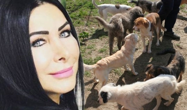 Nuray Hafiftaş'ın ardından 60 can kimsesiz kaldı!