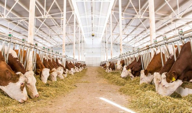 Girişimciye devletten 1,5 milyar lira hibe!