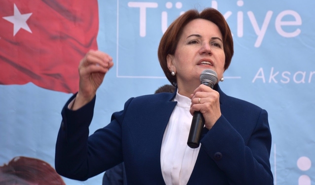 Meral Akşener'e sürpriz danışman...