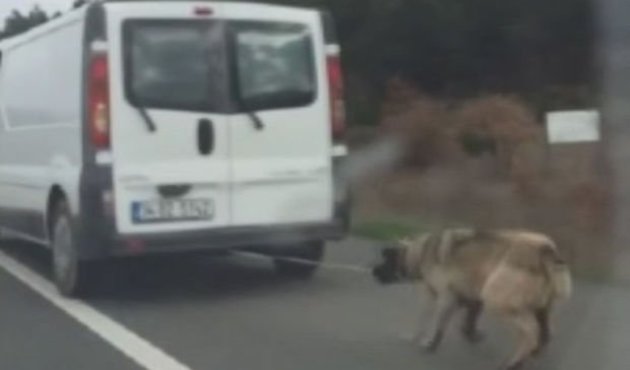 Köpeği aracın arkasına bağlayıp sürükledi! /VİDEO