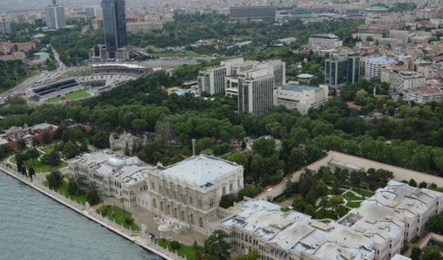 Swissotel'den Dolmabahçe ağaçlarını kesme talebi!