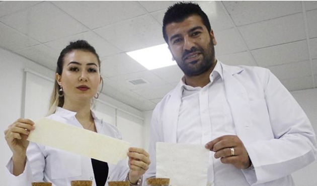 Karides kabuğundan kan durduran sargı bezi ürettiler...