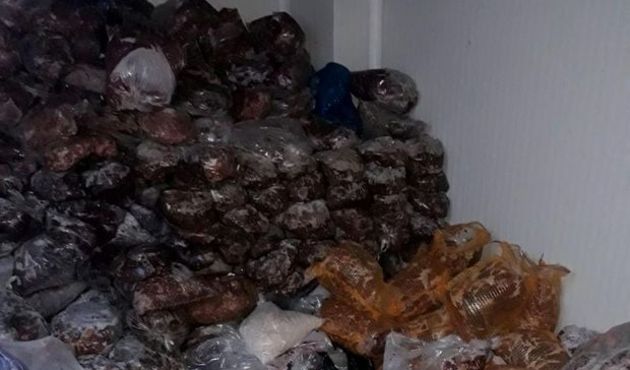 Mide bulandıran görüntü! Tonlarcası bir arada....