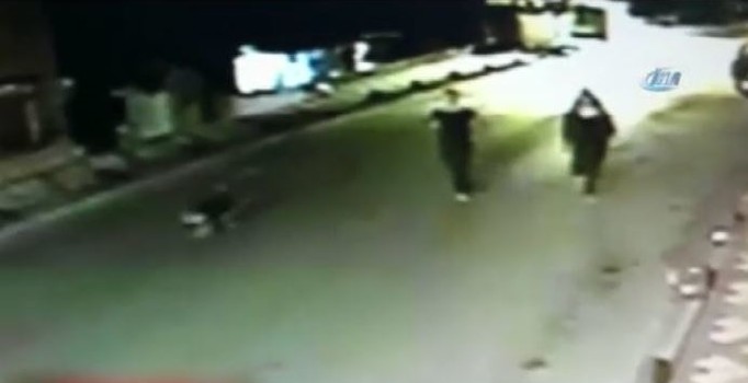 İstanbul'un göbeğinde pittbull köpekle gasp dehşeti (VİDEO)