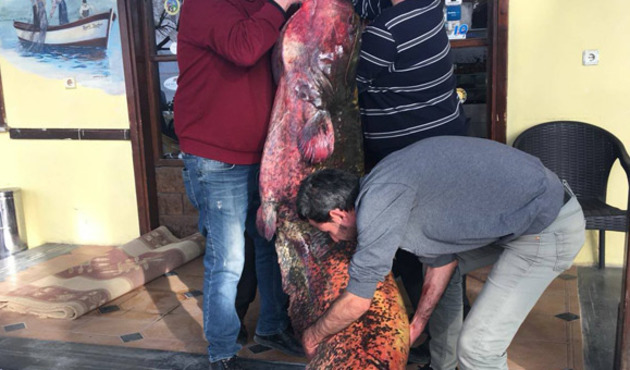 İznik gölünden çıktı, görenler şoke oldu!
