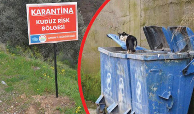 Aydın'ın Nazilli ilçesinde bir mahalle kuduzdan dolayı karantinaya alındı!