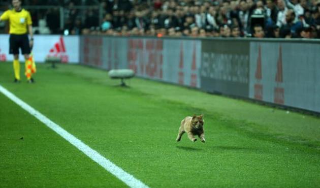 Beşiktaş'a İngiltere'den destek yağıyor!