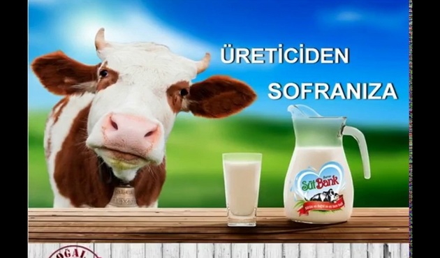 Çiftlik Bank'tan sonra Süt Bank şoku!