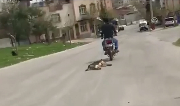 Köpeği motosikletin arkasına bağlayıp sürükledi/VİDEO...