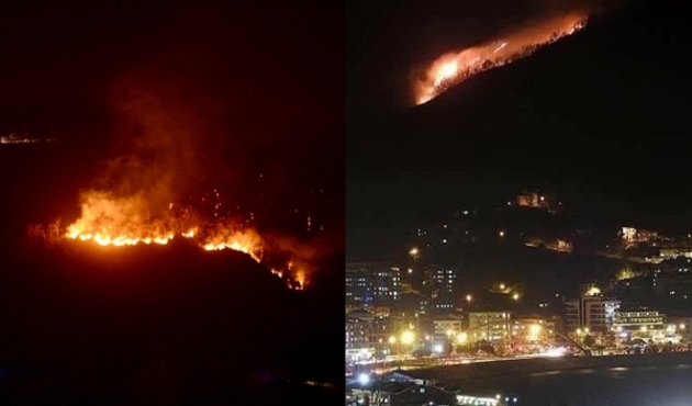 Giresun'da orman yangını...