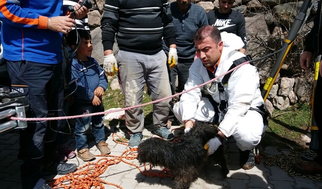 12 metrelik kuyuya düşen köpeği AFAD kurtardı...
