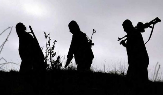 PKK'nın sözde Ağrı Dağı sorumlusu operasyonda öldürüldü...