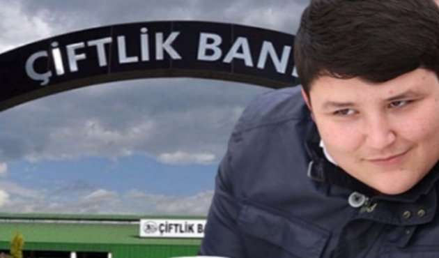 Tosun'un ikinci projesi ortaya çıktı!