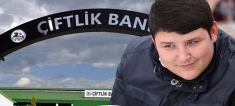 Tosun'un ikinci projesi ortaya çıktı!