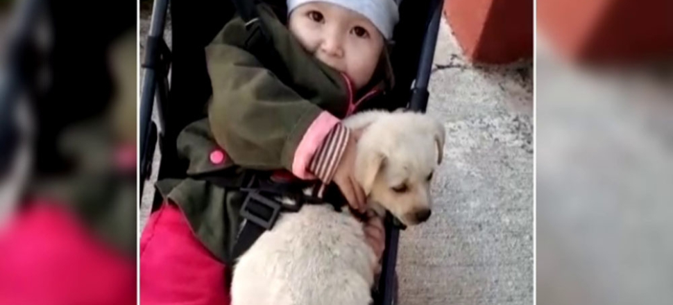 Minik Duru ve Köpük’ün güldüren halleri...