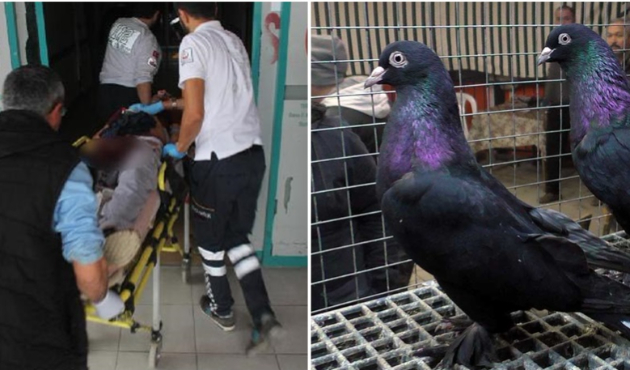 Cinayetin sebebine inanamayacaksınız!