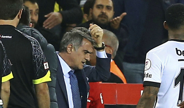 "Canım değil ama içim acıyor"