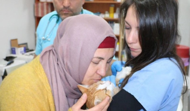 İğrenç olay! Kediye tecavüz edildi...