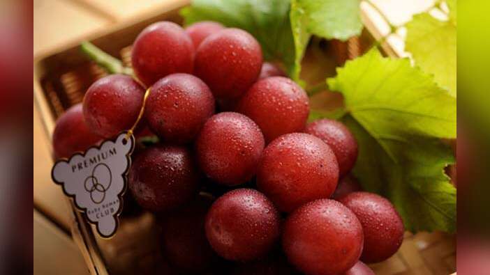 Fotoğraftaki bir salkım üzüme 31 bin 750 lira ödedi!