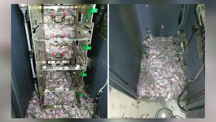 ATM'ye giren fareler paraları yedi...