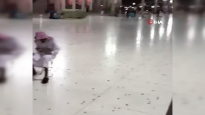 Medine'yi hamam böceği ve çekirgeler bastı!