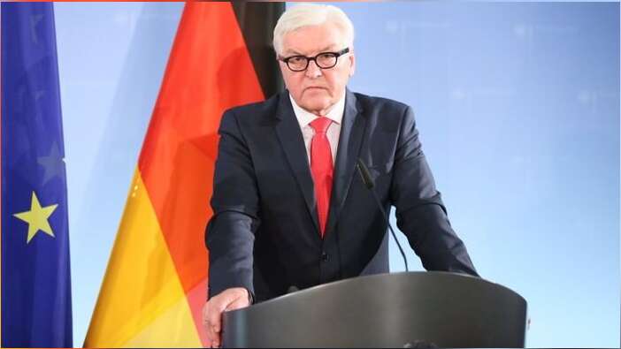 Almanya Dışişleri Bakanı Frank-Walter Steinmeier'dan Türkiye'ye üstü kapalı tehdit