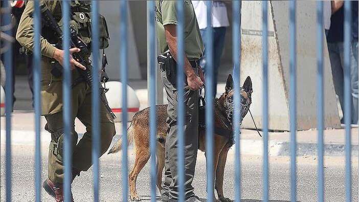 İsrail'den 14 yaşındaki Filistinli çocuğa 12 yıl hapis