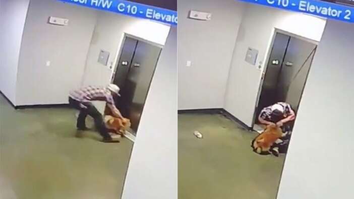 Tasması asansör kapısına sıkışan köpeği böyle kurtardı!