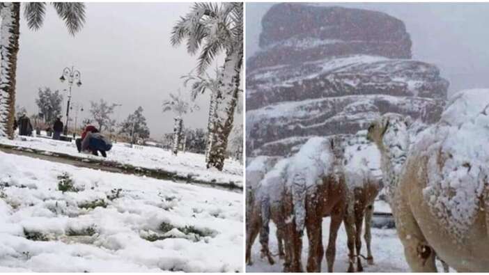 Suudi Arabistan'da kar sürprizi...