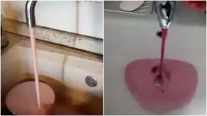 Musluktan akan pembe sıvı paniğe neden oldu