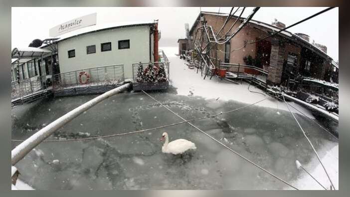 -20 Derecede iki gün hayatta kaldı