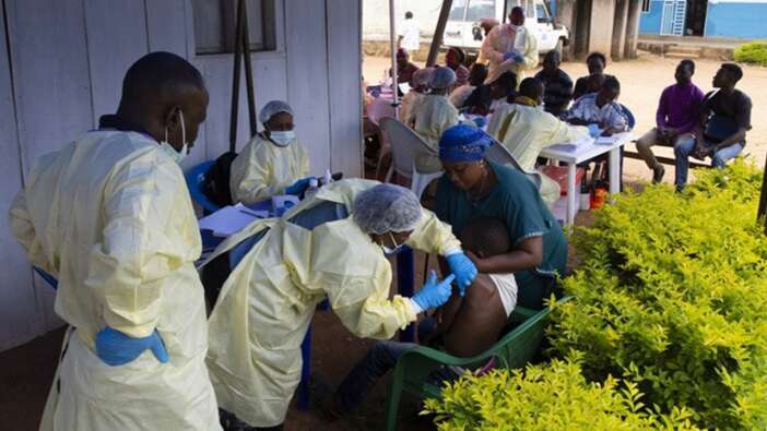Dğnya Sağlık Örgütü'nden korkutan 'Ebola' açıklaması