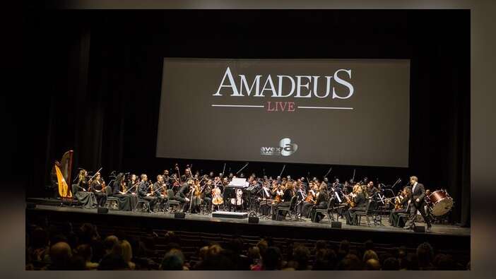 “Amadeus Live” Zorlu PSM’de izleyenleri büyüledi...