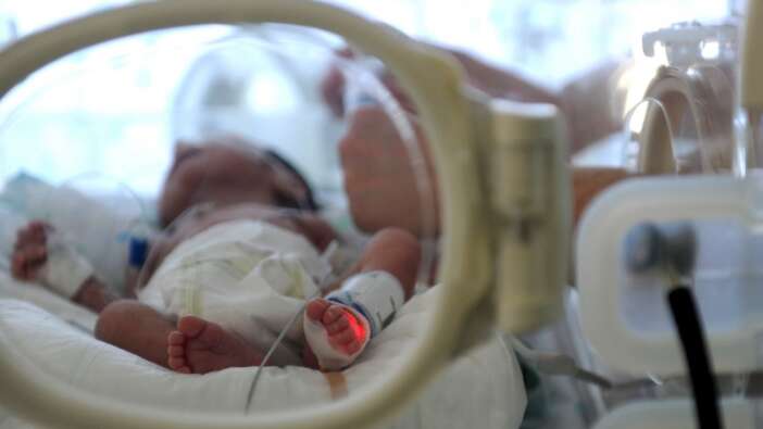 Tek doğumda 10 bebek! Sağlık durumları açıklandı