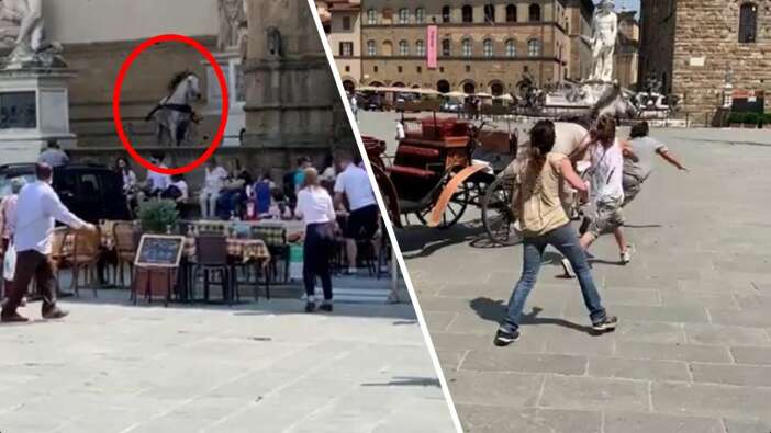Turistik bölgede kontrolden çıkan at meydanı birbirine kattı! Bakanlığın aracına bile çarptı...