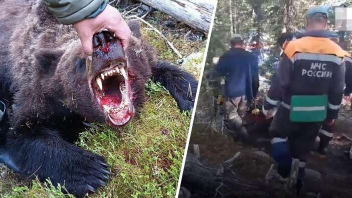 Dünya bu olayı konuşuyor: Ayı, 16 yaşındaki çocuğu canlı canlı yedi!
