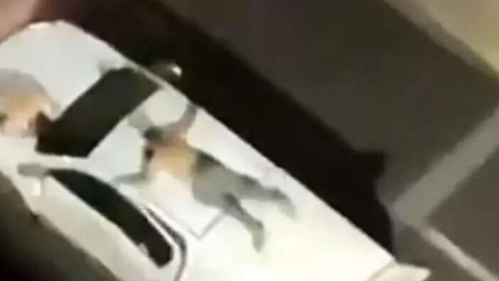 Böyle soygun görülmedi: Canlı kalkan olarak kullandıkları rehineyi aracın üstüne bağladılar